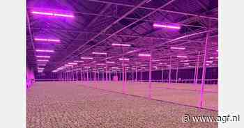 Eerste winterteelt voor jong telerskoppel