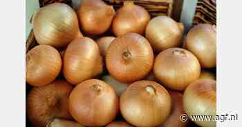 Exportcijfers uien week 34 en 35