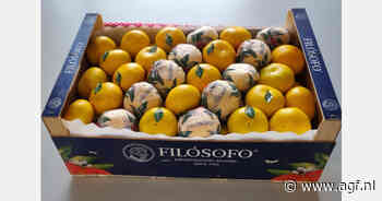 "Duitsers wachten altijd met de vroege rassen, die gaan nog voor overzee fruit"