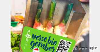 Biologische gember van Nederlandse bodem