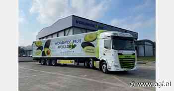 "Aanvoer avocado uit Peru en Zuid-Afrika relatief stabiel"