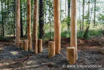 Speelbos Bleke Heyde bijna klaar om op 9 oktober feestelijk te openen
