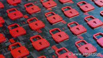 Why copilots and low-code apps portend a security nightmare