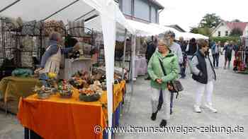 Wendschott verwandelt sich in einen lebendigen Bauernmarkt