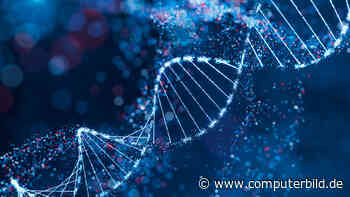 So speichern Forscher das menschliche Erbgut für immer ab