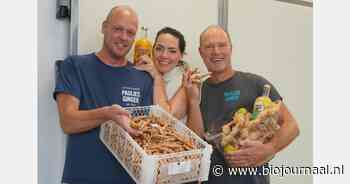 Uit liefde geboren alcoholvrije drank verovert consumenten wereldwijd