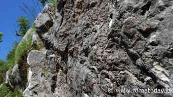 Geo-walking alla scoperta della barriera corallina fossile di Rocca di Cave