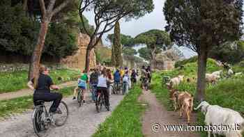Appia Antica, Caffarella, Acquedotti, visita guidata in ebike (collettiva, piccoli gruppi in inglese)