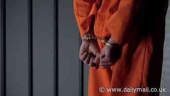 Surprisingly positive personality trait that predicts whether you're likely to commit a crime, study reveals