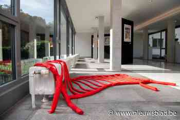 65 kunstenaars stellen tentoon in districtshuis met ‘Deurne geeft je vleugels’