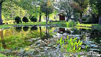 Waldsee Bad Herrenalb-Rotensol: Kritik aus dem Landratsamt sorgt für Ärger