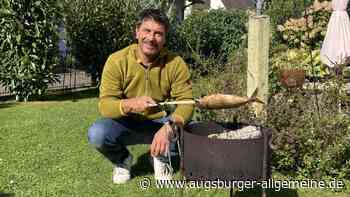 So schmeckt der Steckerlfisch wie auf der Wies‘n
