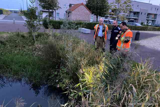 Vervuiler nog niet gevonden, nieuwe staalname moet aard vervuiling bevestigen