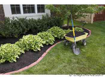 Much ado about mulch: make time to nurture garden soil