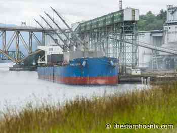 Port of Vancouver grain workers hit picket line as dispute with terminal operators escalates