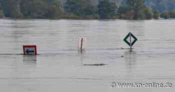 Brandenburg: Hochwasser an der Oder überflutet erste Straßen