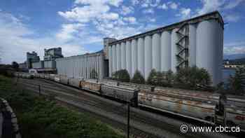 Strike begins at Metro Vancouver terminals that move half of Canada's grain