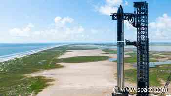 SpaceX stacks Starship megarocket ahead of 5th test flight (photos)