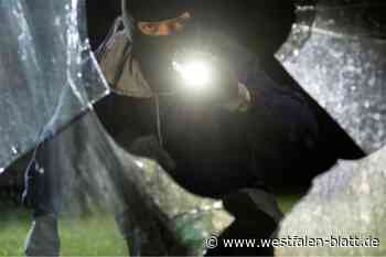 Dreister Einbrecher bestiehlt Seniorin im Schlaf