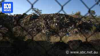 Former Bandido bikie associate left to contain massive alleged illegal toxic waste dump