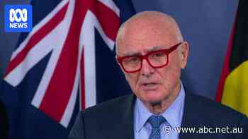 Former regulator says 'business lobby' shielding supermarkets from reform