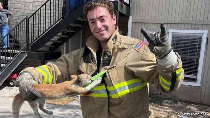 Cat-astrophe avoided as Austin firefighter rescues cat from car engine