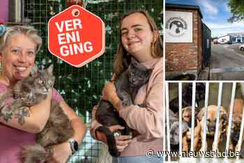 Dierenbescherming Mechelen blaast 80 kaarsjes uit: “Mensen behandelen dieren te vaak als wegwerpartikel”