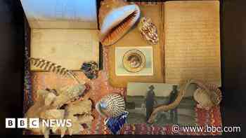 Sailor's diaries inspire great-granddaughter's art