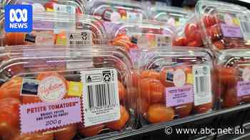 Perfection Fresh to cut 'significant' number of jobs amid tomato virus outbreak