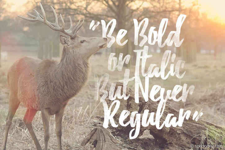 15+ Best Free Brush Fonts for Designers