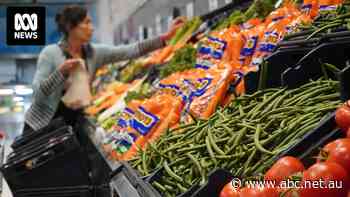 Inflation falls to within RBA's target limit but economists cautious about overall picture, ASX closes lower — as it happened