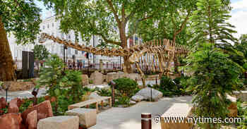 A London Museum’s Evolution Garden Offers a 540-Million-Year Journey