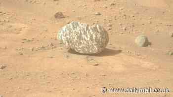 NASA discovers mysterious 'zebra rock' on Mars that's unlike anything the space agency has seen
