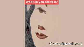 What do YOU see first? Optical illusion test reveals your deepest desires