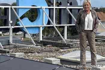 Stroomoverschot zonnepanelen Officenter vloeit naar gezinnen: “Stroom kopen om de hoek”