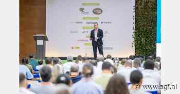 Jaarrond Hass avocado-oogst in Colombia