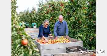 "Ook in appelen schaarste aan kleinere maten, waardoor deze dit jaar duurder zullen zijn"