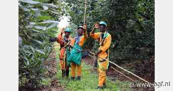 Avocado-innovatie te zien in Madrid