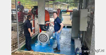 "UV-desinfectieoplossing die bananenplantages beschermt tegen Fusarium en Moko"