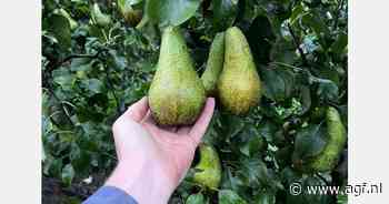 "We zijn gelukkig van hagel gespaard gebleven"