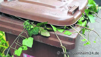 Termine für kostenlose Grüngutsabholung in Rosenheim stehen fest