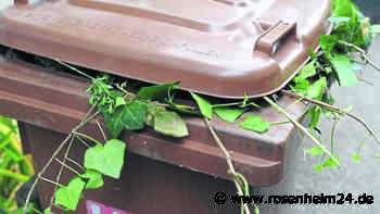 Termine für kostenlose Grüngutsabholung in Rosenheim stehen fest