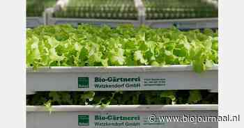 "Consumenten vinden biologische producten te duur of zelfs onbetaalbaar"