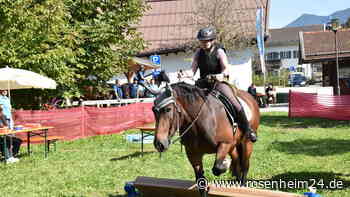 Apfelmus fürs Pferd? Welche Klippen Anna (8) und Co auf dem Spaßparcours bewältigen mussten