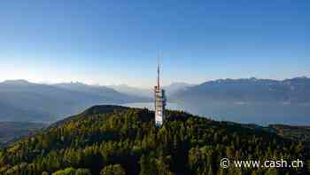 Anlagenotstand wegen SNB-Geldpolitik: Diese Schweizer Aktien könnten von tieferen Zinsen profitieren