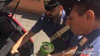 La piazza di spaccio del 'Murenone' che riforniva studenti e minorenni della Roma "bene"