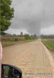 Cage-free: Tornado breaks chickens out of barn