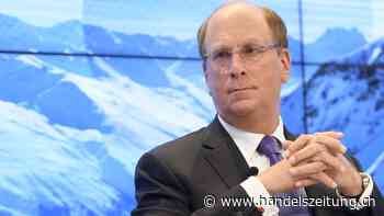 Der neue Megatrend: Rendite statt Regenwald