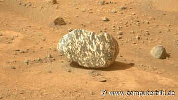 Perseverance: Zebra-Stein auf dem Mars entdeckt