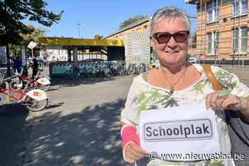Pleintjes Schoolplak en Duinplak krijgen officiële benaming: “Stukje Antwerpse cultuur die officieel erkend wordt”